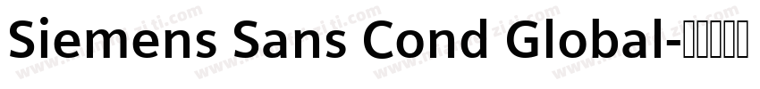 Siemens Sans Cond Global字体转换